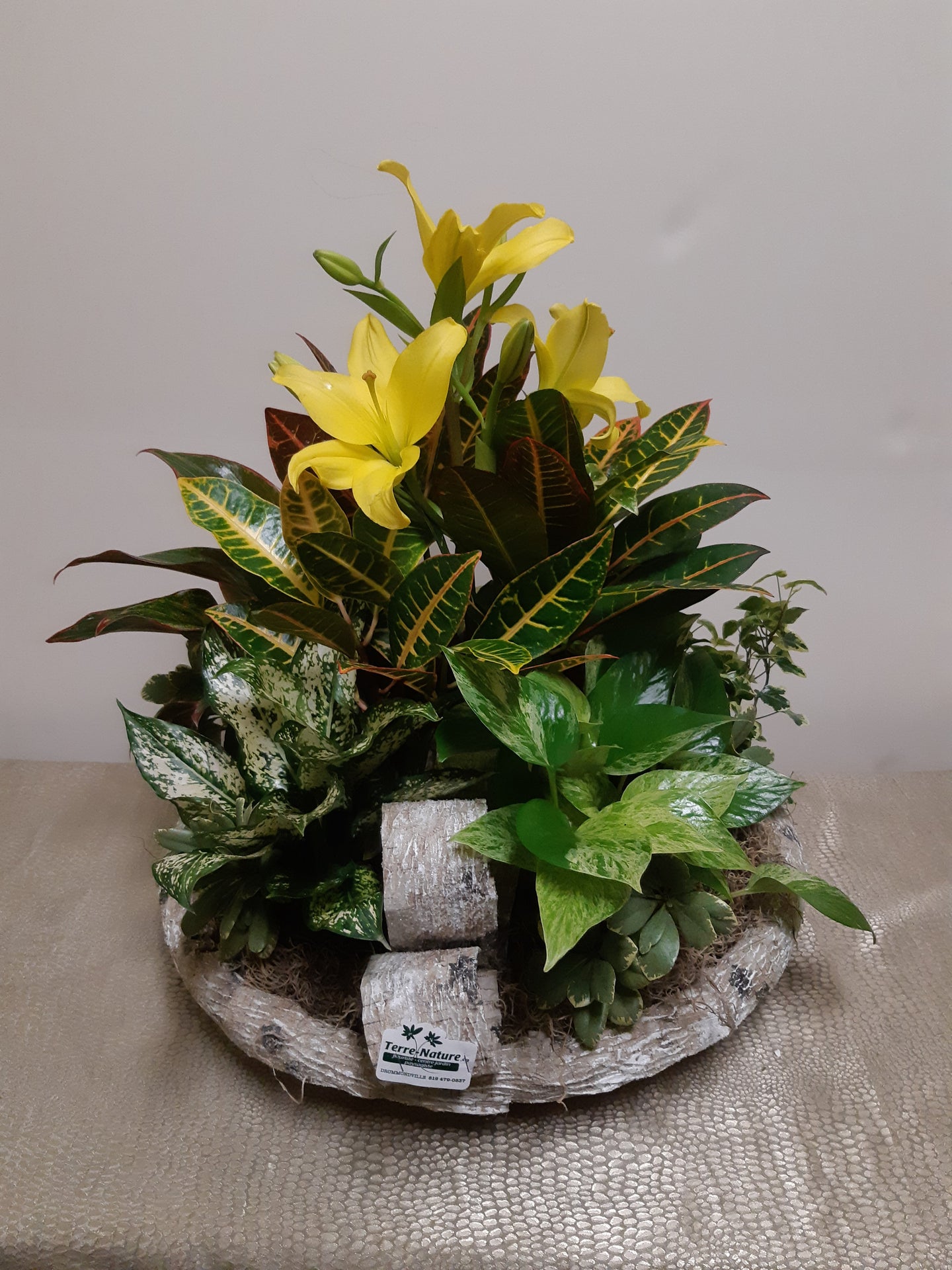 Jardin de plantes avec Lys, Crotons et Pothos